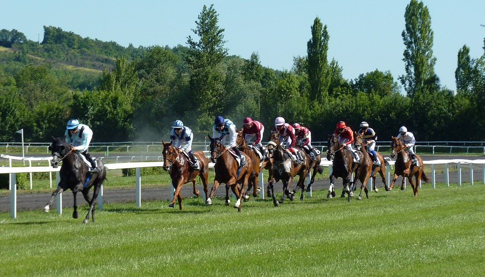 today's extra place races